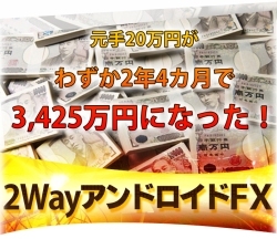 ２ｗａｙアンドロイドｆｘ ハヤシファンド 林祐一 評価